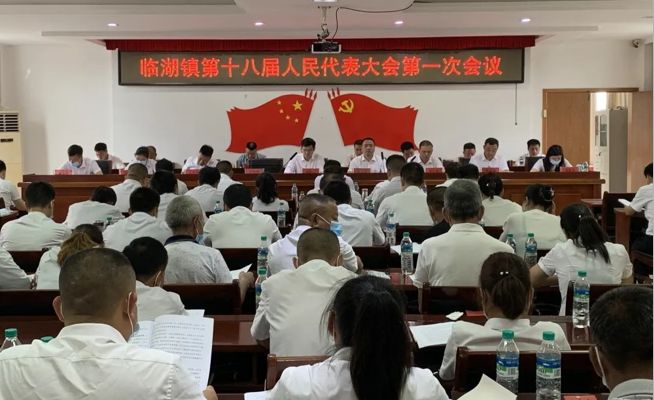 中实社江西：临湖镇第十八届人民代表大会第一次会议成功召开