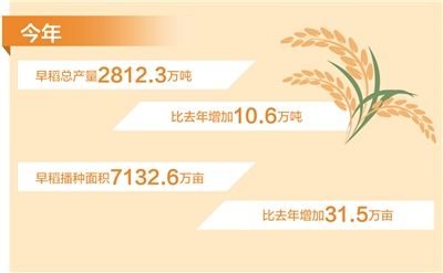 今年我国早稻产量2812万吨（新数据 新看点）