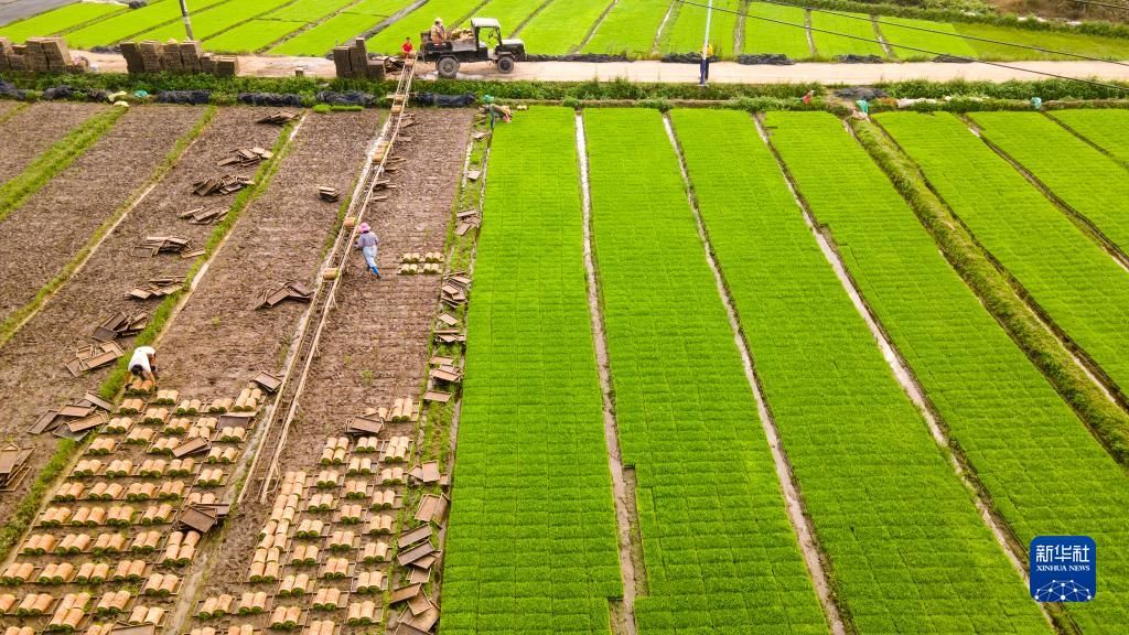 人勤春来早 备耕正当时——各地各部门抓早抓实谋划粮食生产综述