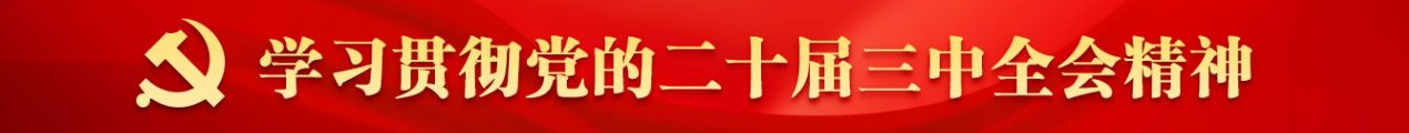 三中全会精神