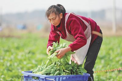 强信心增力量 决胜“十四五”·协调发展