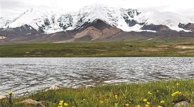 “中华水塔”生态屏障,这样加固(生态治理中的中国智慧)
