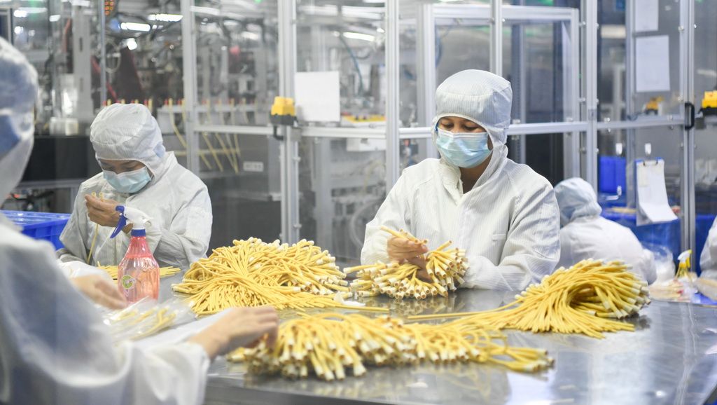 海阔千帆竞 潮涌自贸港——海南自由贸易港即将封关启新程