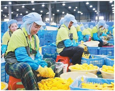 书写中国同世界各国彼此照亮、相互成就新篇章（大国外交·2025年度回眸）