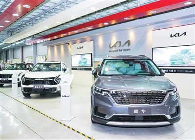 书写中国同世界各国彼此照亮、相互成就新篇章（大国外交·2025年度回眸）