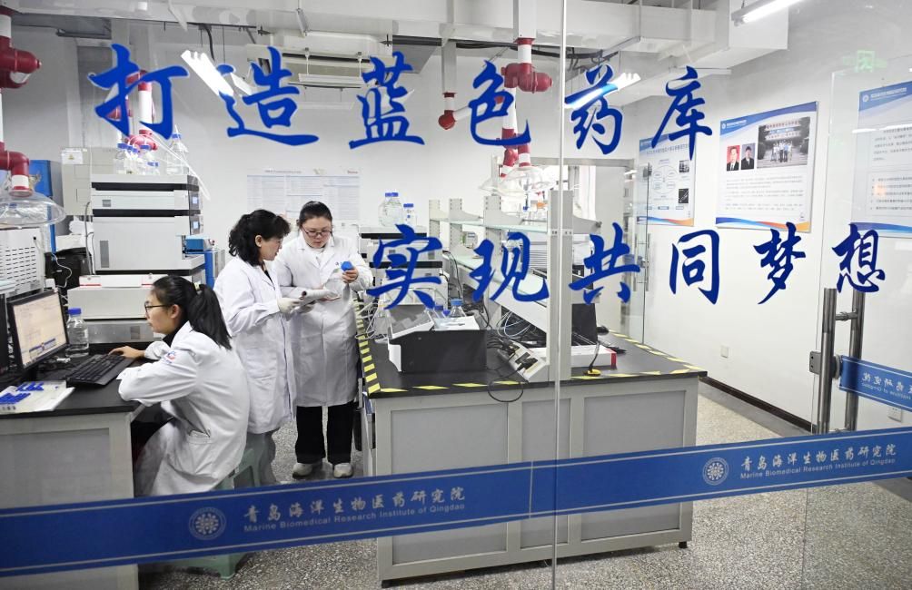 习近平总书记关切事·嘱托|科研追光者的破壁之路