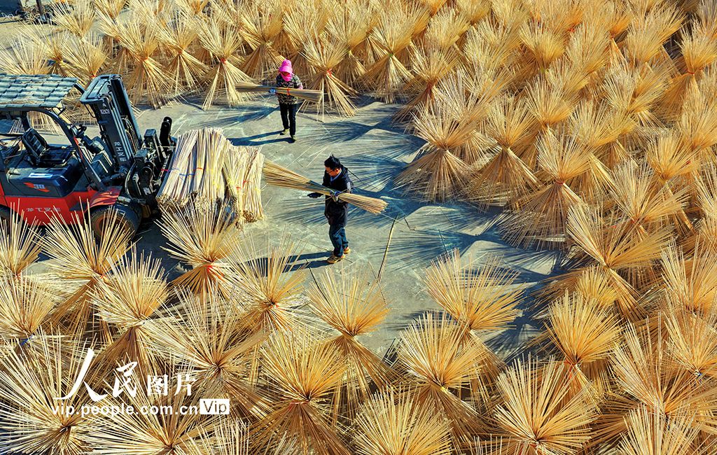 江西广昌：竹产业助农增收