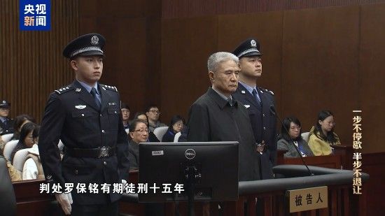 电视专题片《一步不停歇 半步不退让》第二集《严惩政商勾连腐败》