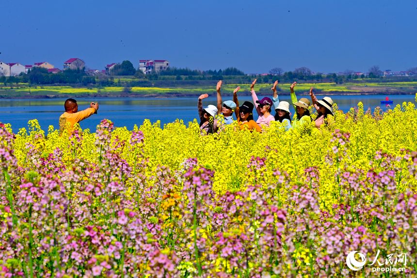 江西樟树：彩色油菜花扮靓乡村引客来