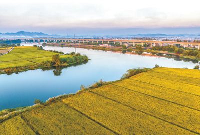 外国友人镜头里的中国乡村—— 产业兴旺 环境宜居