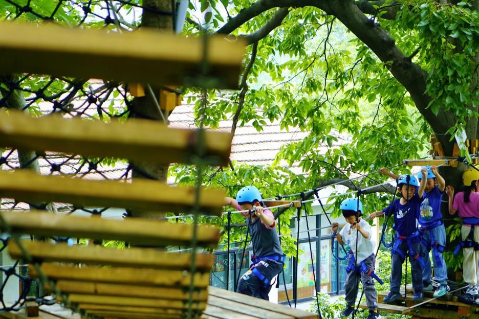 古院绿意浓 一所小学的生态教育实践