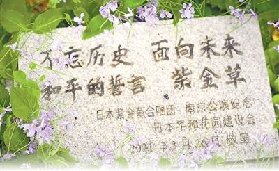 听，“紫金草”唱出的和平之声（铭记历史 开创未来）