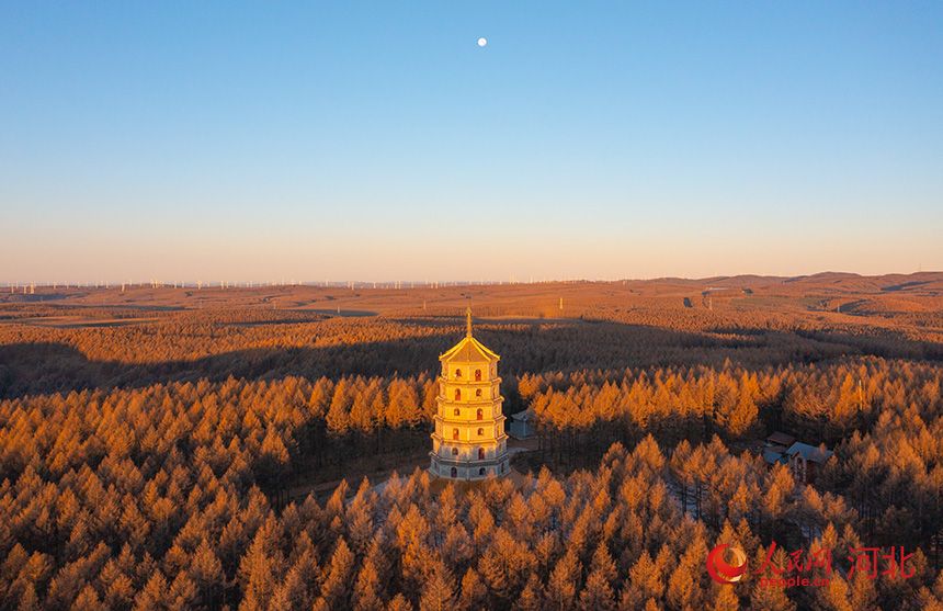 河北围场：金秋时节披“彩衣” 层林尽染绘就斑斓画卷